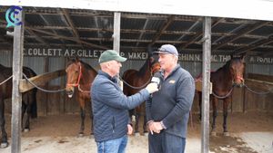 Image post by @NZHorseAmbulanceTrust on Facebook