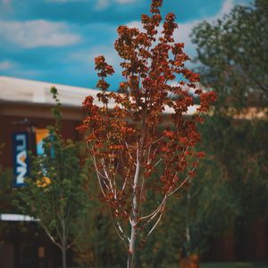 Image post by @nauflagstaff on Instagram
