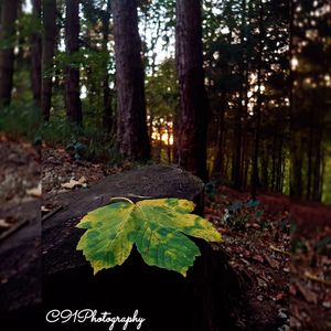 Image post by @c91photography on Instagram