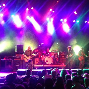 Image post by @thewarfield on Instagram