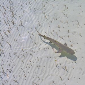 Image post by @discovery on Instagram