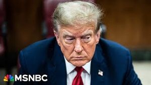 Video post by @msnbc on YouTube