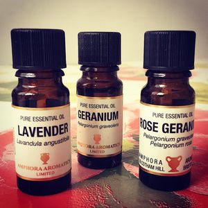 Image post by @lemondrop_social on Instagram