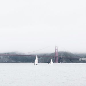 Image post by @alexhaobao on Instagram
