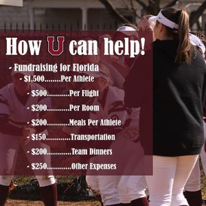 Image post by @unioncollegesoftball on Instagram