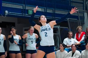 Image post by @ricevolleyball on Instagram