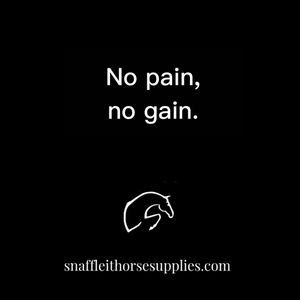 Image post by @snaffle_it on Instagram