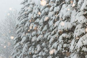 Image post by @windhammountainclub on Instagram
