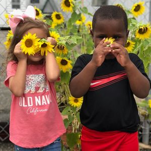 Image post by @kidsgardening on Instagram