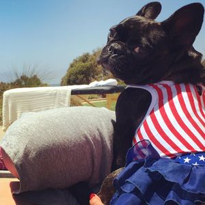 Image post by @ladygaga on Instagram