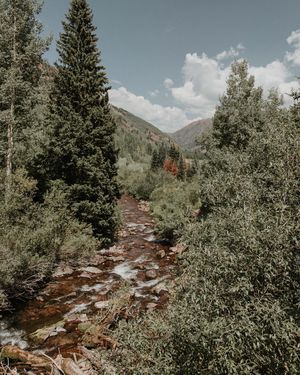 Image post by @nikguiney on Instagram