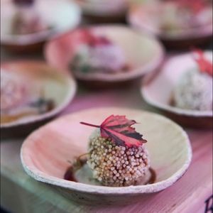 Image post by @kiawahresort on Instagram