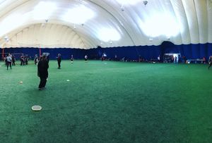 Image post by @arcadia_sb on Instagram