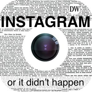 Image post by @dailywildcat on Instagram