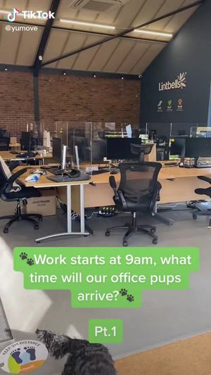 Image post by @YuMOVE.US on Facebook