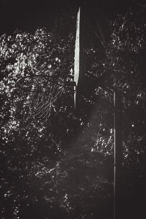 Image post by @AJMitchellPhoto on Twitter/X