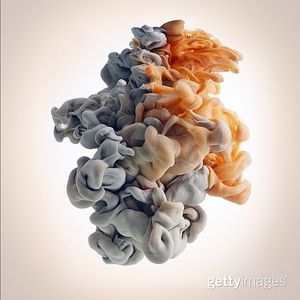 Image post by @gettyimages on Instagram