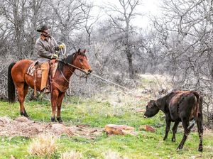 Image post by @schaeferoutfitter on Instagram