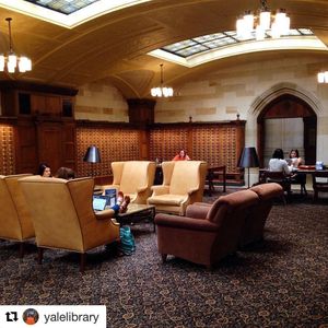 Image post by @yalevolleyball on Instagram