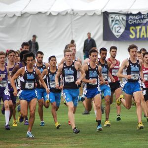 Image post by @uclaxc on Instagram