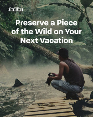 Image post by @thrillist on Instagram