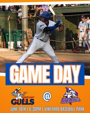 Image post by @newportgulls on Instagram