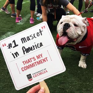 Image post by @universityofga on Instagram