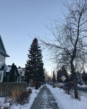 Image post by @cityofcalgary on Instagram