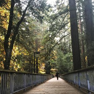 Image post by @ucsc on Instagram