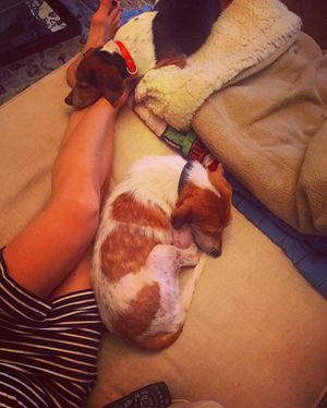 Image post by @laraleatrump on Instagram