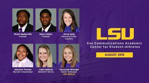 Image post by @lsubeachvb on Instagram