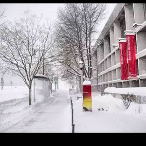 Image post by @bostonu on Instagram