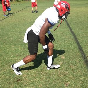 Image post by @jaxsharks on Instagram