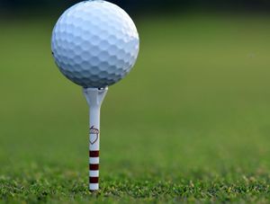 Image post by @evolvegolf on Instagram