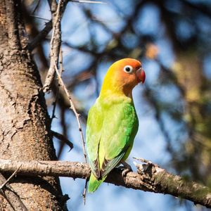 Image post by @chiawasafaris on Instagram
