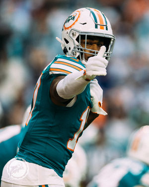 Image post by @dolphins_esp on Instagram