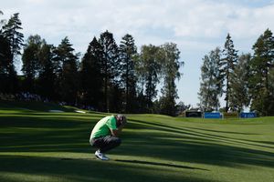 Image post by @mattfitz94 on Instagram