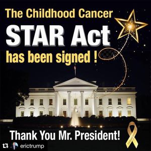 Image post by @realdonaldtrump on Instagram