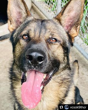 Image post by @vcsheriff on Instagram