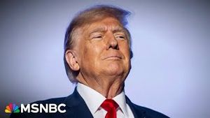 Video post by @msnbc on YouTube