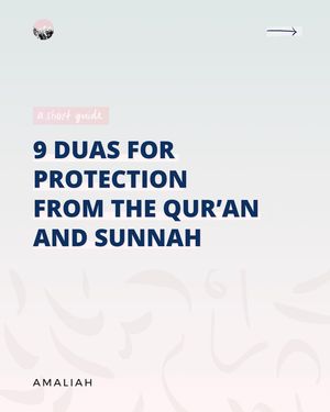Image post by @amaliah_com on Instagram
