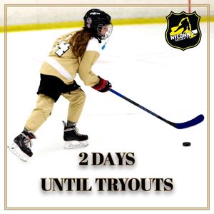 Image post by @sullyshockeyacademy on Instagram