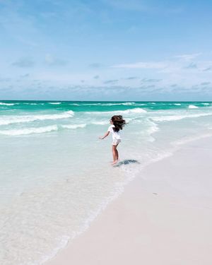 Image post by @visitsarasotacounty on Instagram