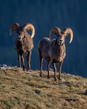 Image post by @nationalparkspartnership on Instagram
