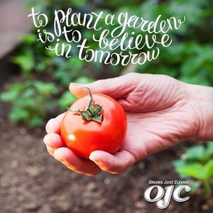 Image post by @organicjuicecleanse on Instagram