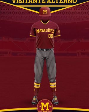 Image post by @indiosmayaguezlbprc on Instagram