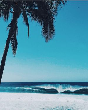 Image post by @kaikinibikinis on Instagram