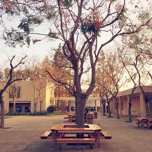 Image post by @asicsuf on Instagram