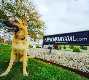 Image post by @kwikgoal on Instagram