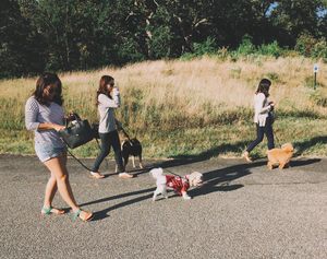 Image post by @zofeeagenota on Instagram